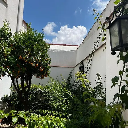 Acogedor Junto A Plaza De San Agustin