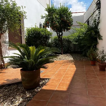 Daire Acogedor Junto A Plaza De San Agustin