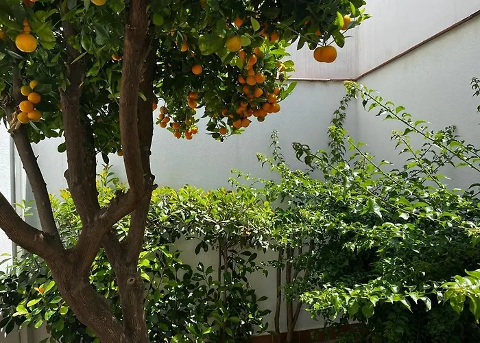 Acogedor Junto A Plaza De San Agustin