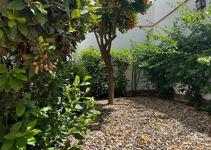 Acogedor Junto A Plaza De San Agustin *