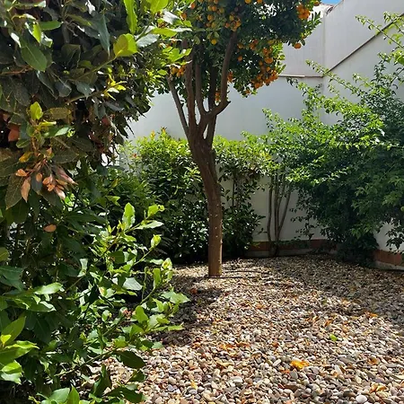 Acogedor Junto A Plaza De San Agustin *