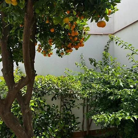 Acogedor Junto A Plaza De San Agustin